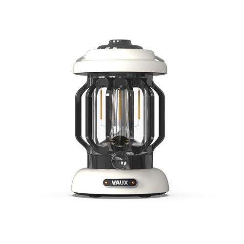 ��ť�� ������ ķ�η��� LED QCL100